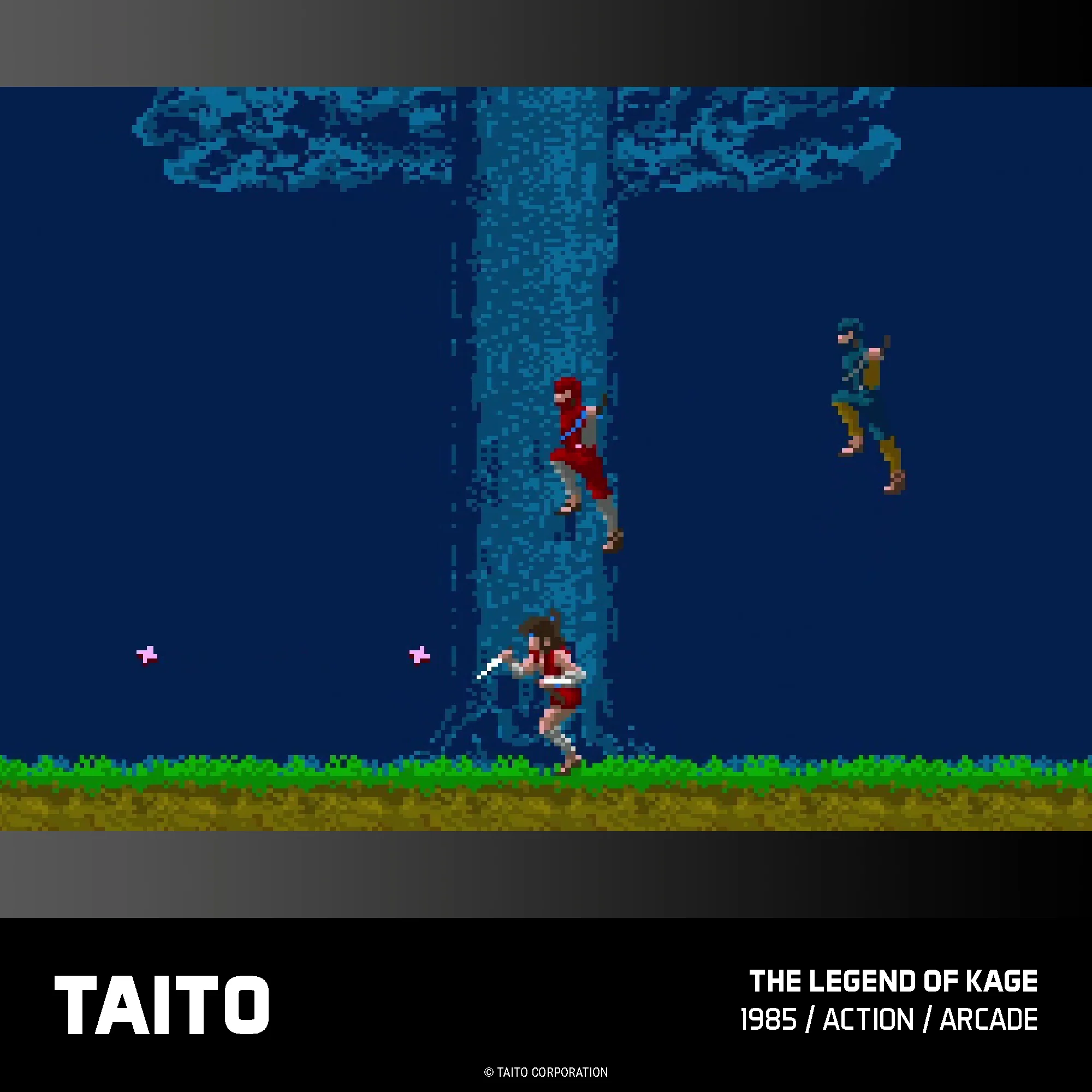 Evercade Cartridge #17 - Taito Arcade Collection 1 - Image 13