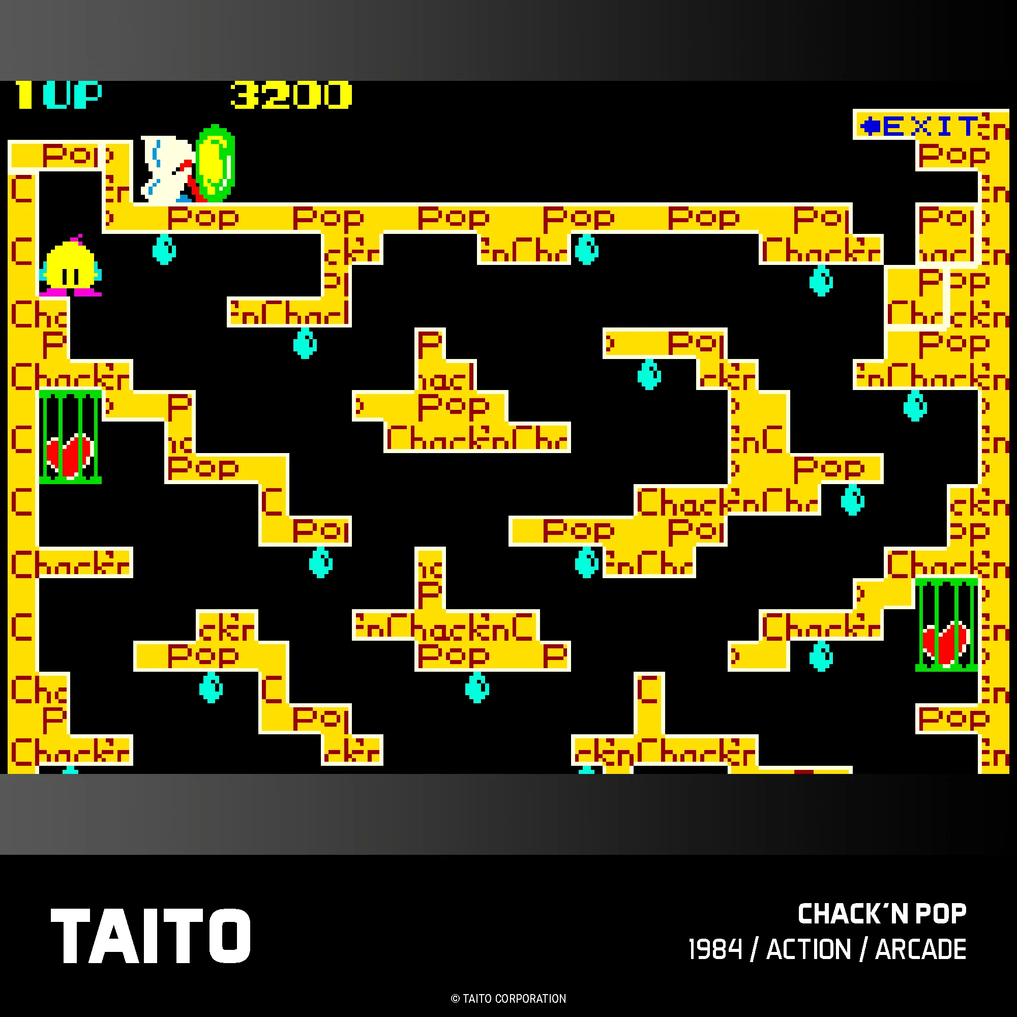 Evercade Cartridge #17 - Taito Arcade Collection 1 - Image 6